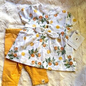 Burt's Bees Baby Organic Cotton top and pants set with orange Print new size 3-6